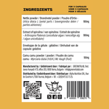 Alpha Labz - REBUILD